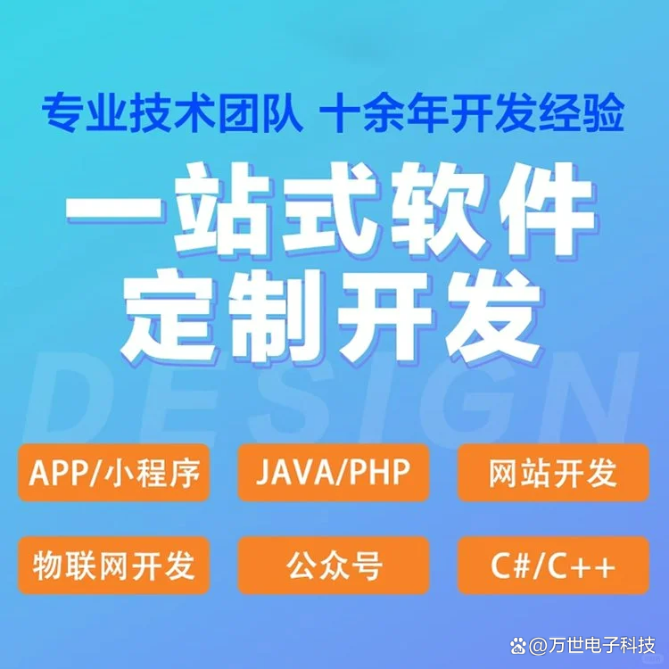 龙场软件开发